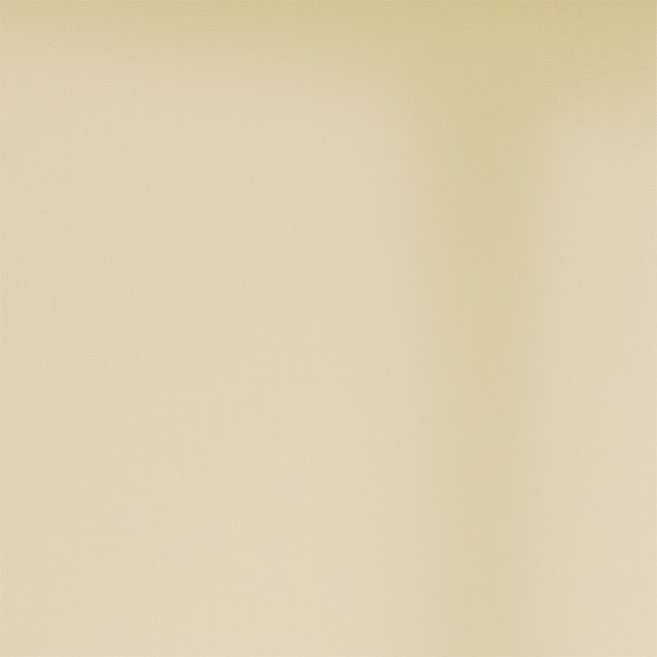 Elfenbeinweiß - R2079